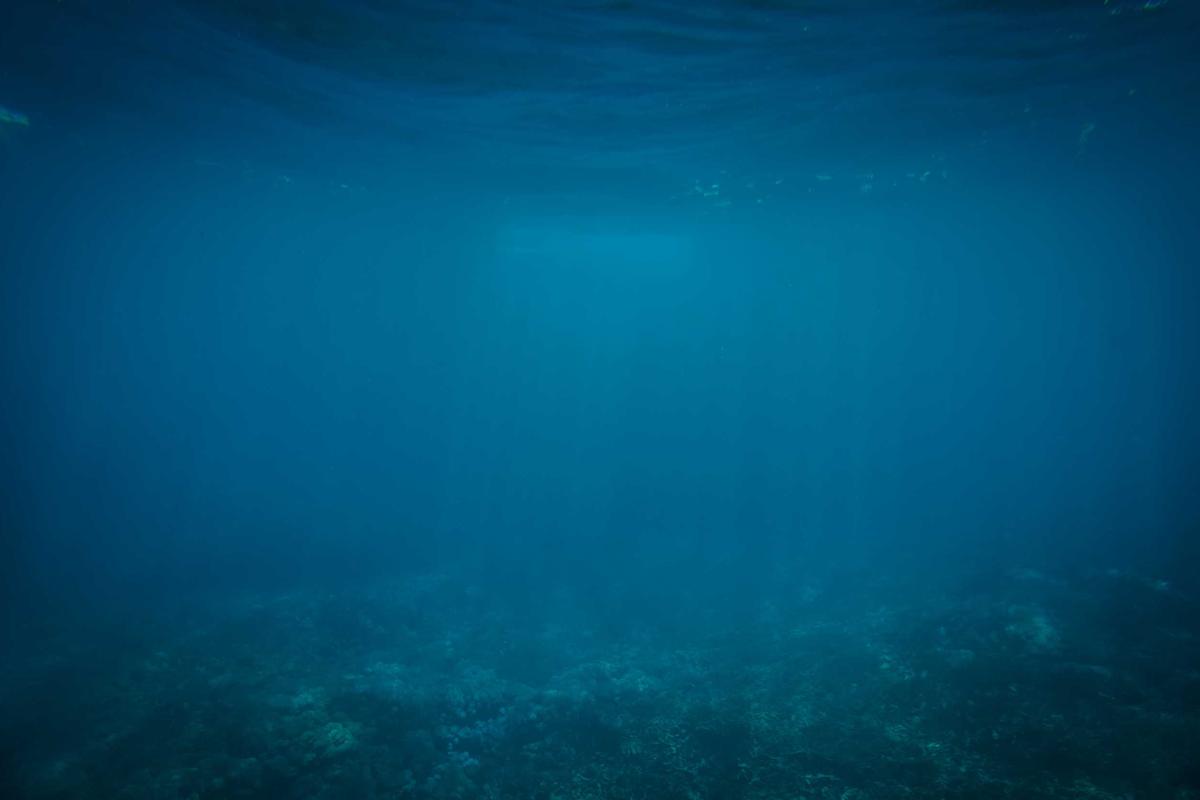 Bungalow 2 – Genieten op Texel. Vakantiebungalow op Texel